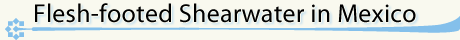 Article Header Four
